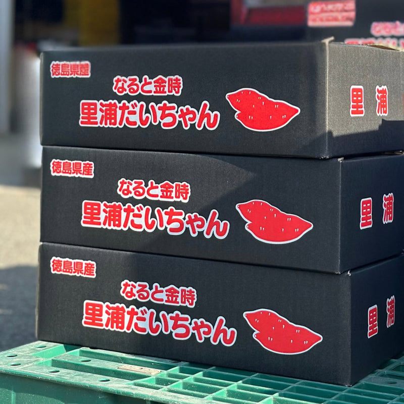 【贅沢大人買い】蜜郎・慎太の芋・里浦だいちゃん｜各5㎏(Mサイズ)